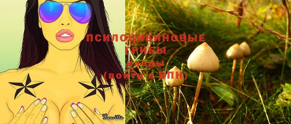 молекула духа Баксан