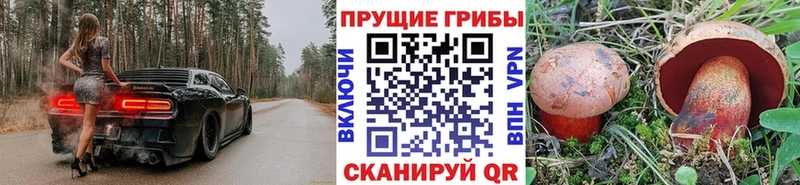 kraken зеркало  Нязепетровск  Псилоцибиновые грибы GOLDEN TEACHER 